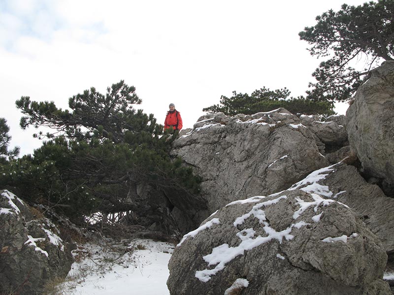 Felsen am Anninger